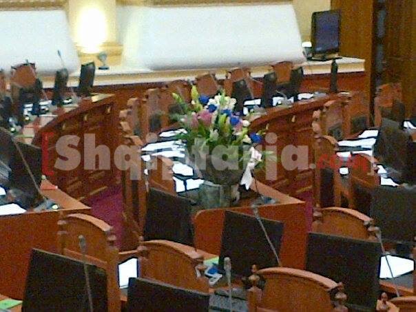 lule per sokoll olldashin ne parlament
