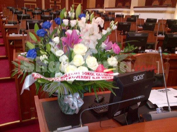 lule per sokoll olldashin ne parlament