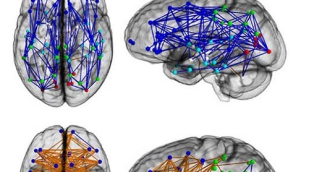 truri i femrave dhe meshkujve