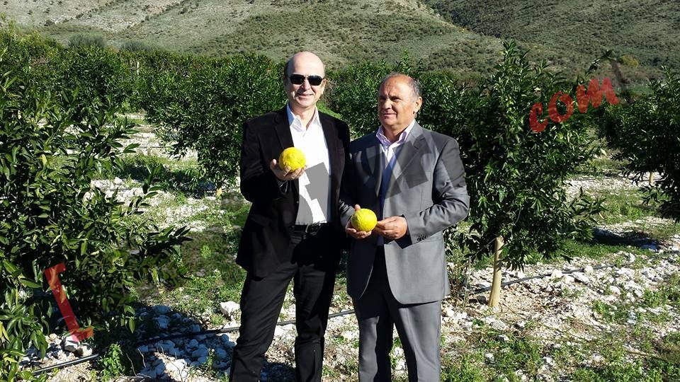 panariti me limon 500 gr