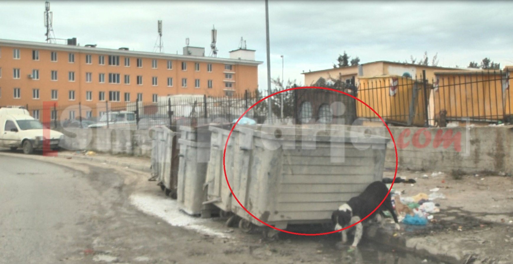 armet e babagjysheve