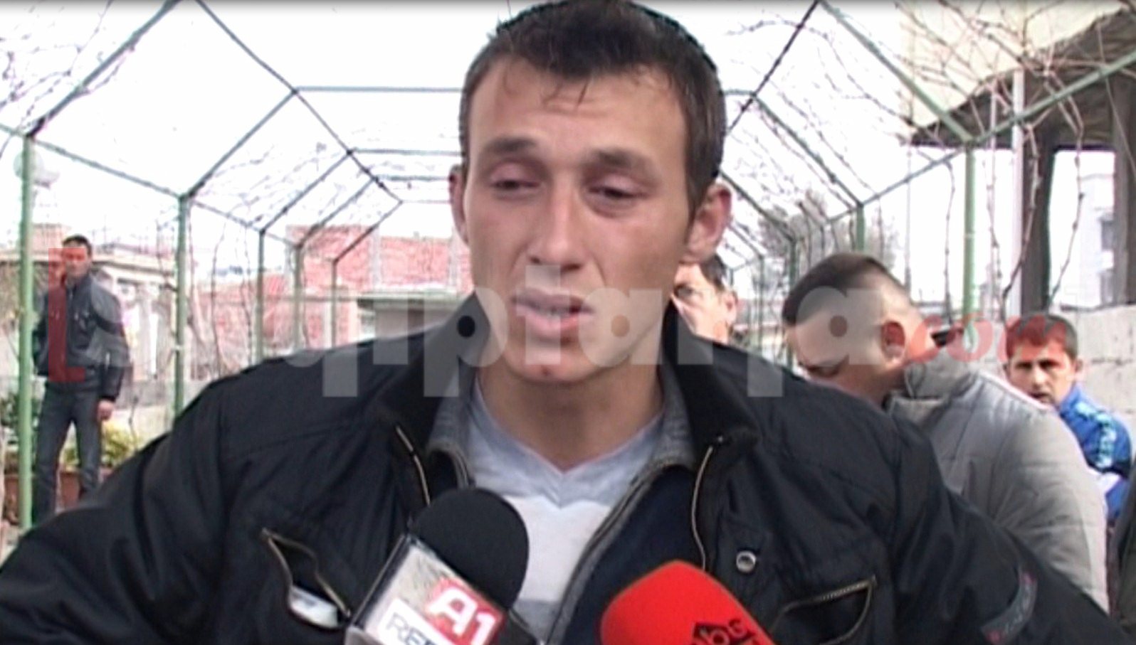 vllai i gazmir markut