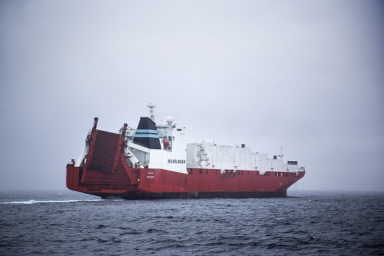 anije me arme kimike