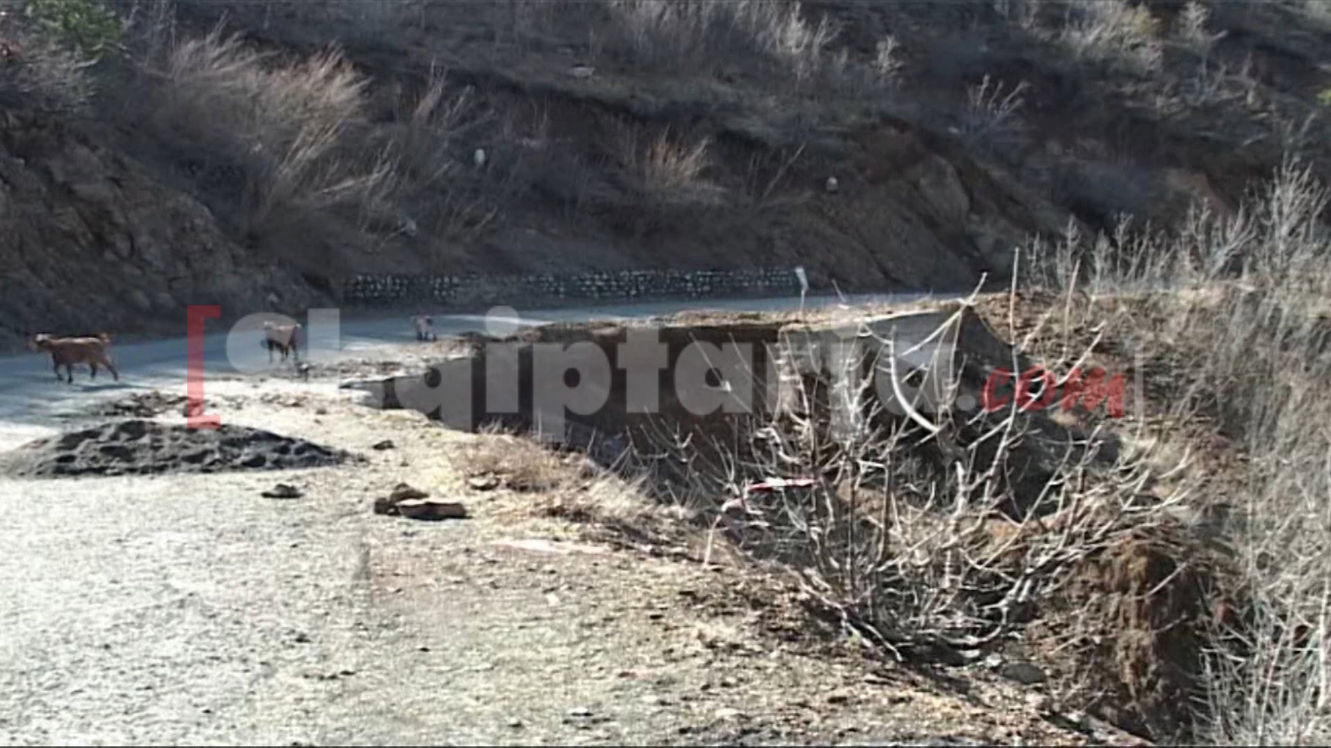 rruga e demtuar lezhe me logo