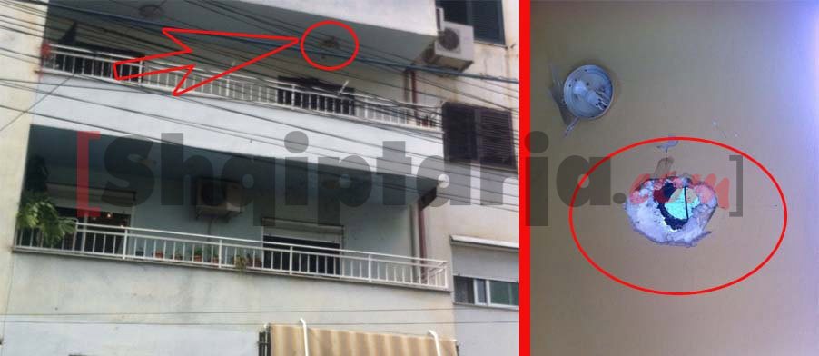 shperthimi ne tirane me logo