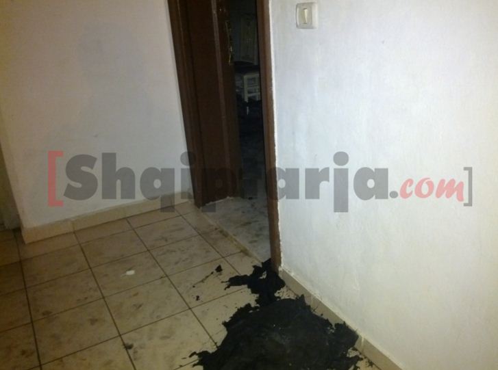 apartament djegur me logo