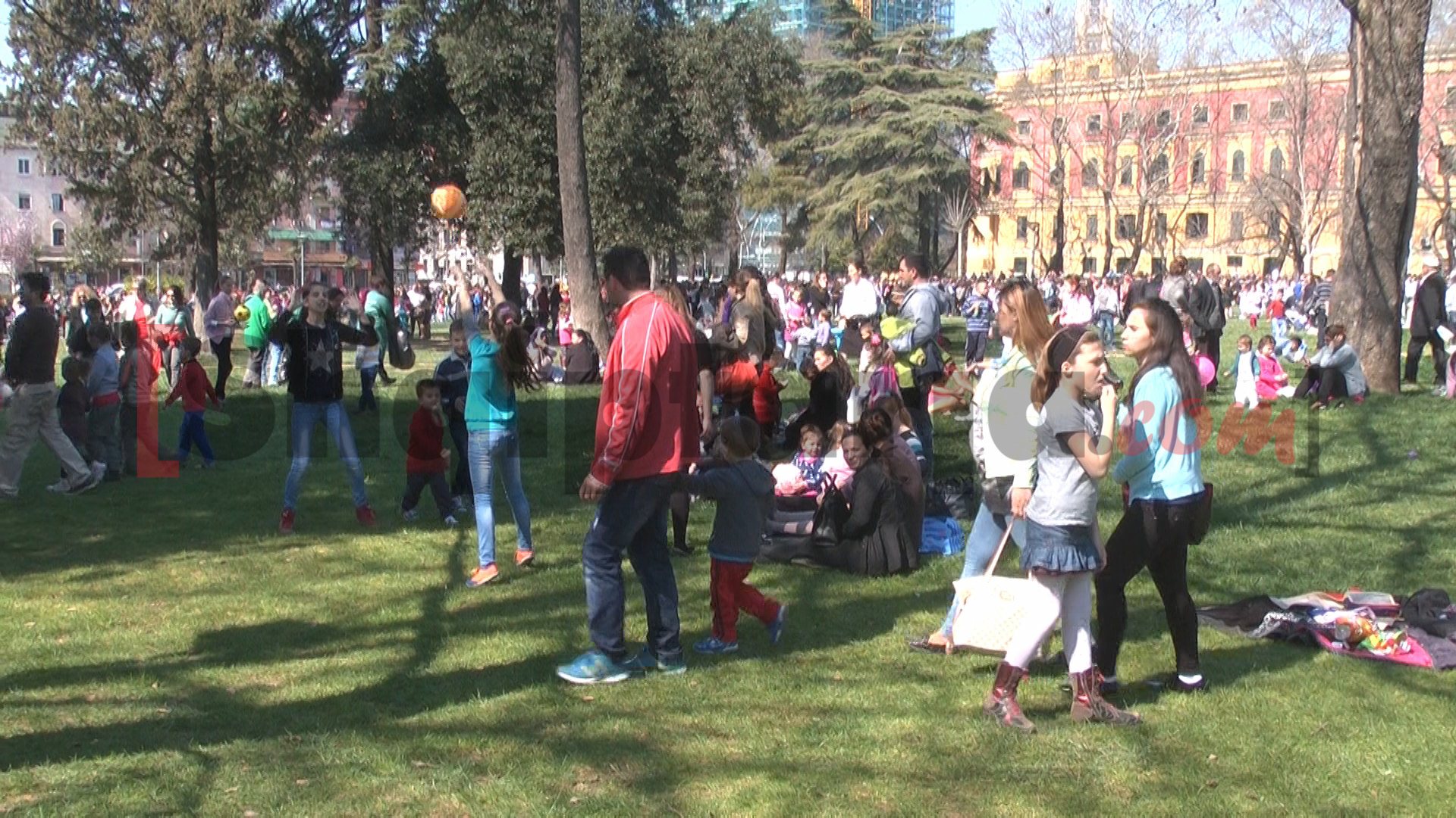 dita e veres ne tirane