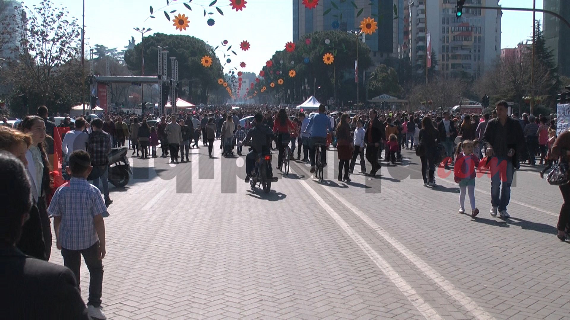 dita e veres ne tirane