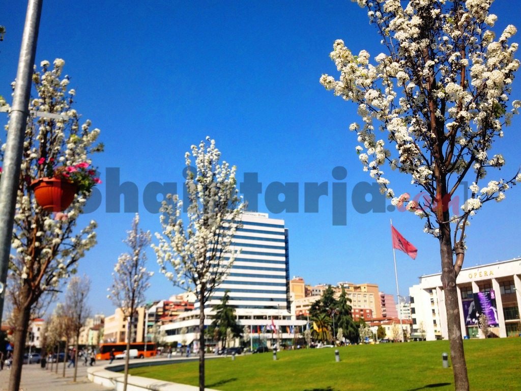 pranvera në tirane me logo