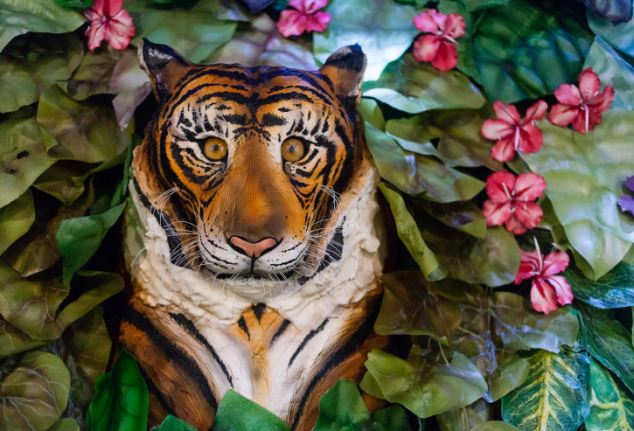 The cake & bake show