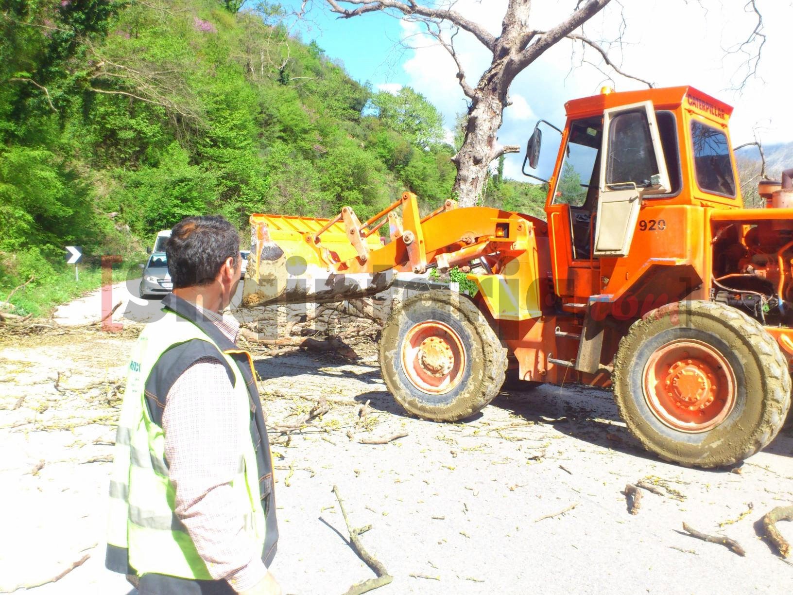 Tepelenë, rrëzohetrrapi