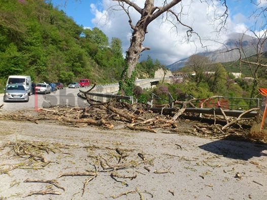 Tepelenë, rrëzohetrrapi