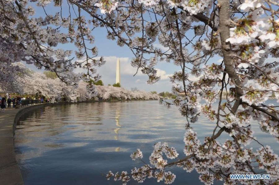 qershi ne uashington