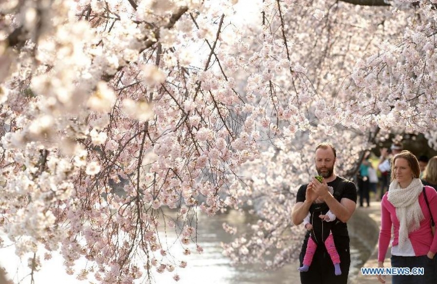 qershi ne uashington