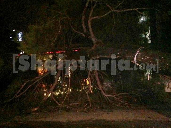 pema e rrezuar me logo 