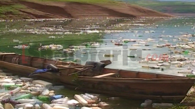 liqenit te fierzes i ndotur 