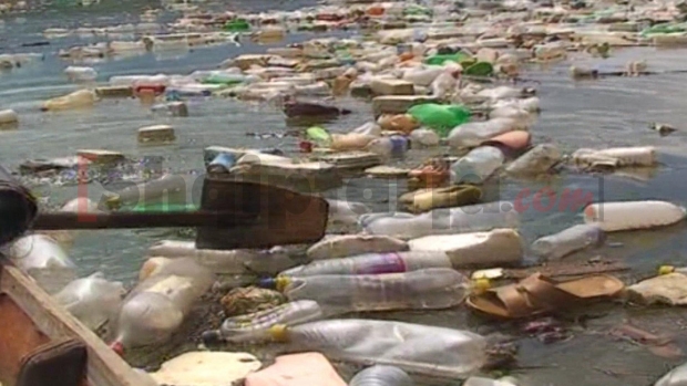 liqenit te fierzes i ndotur 