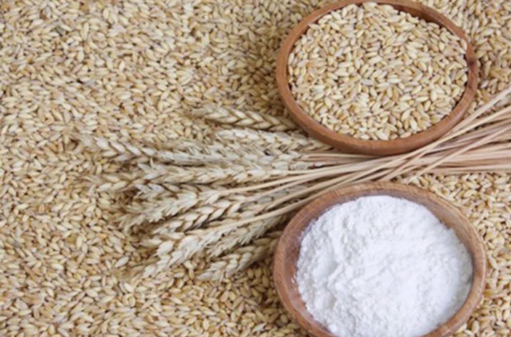 ushqimet per lekuren