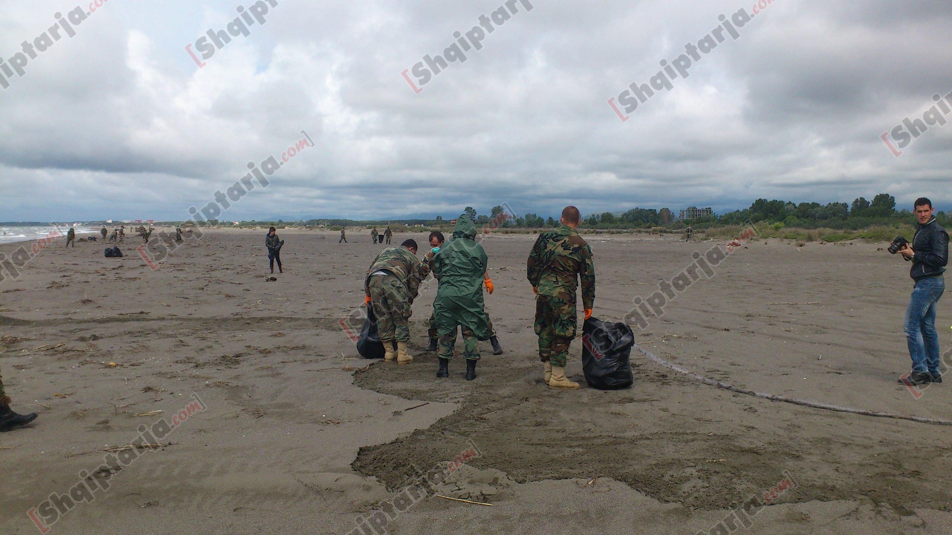 mimi kodheli ne shkoder