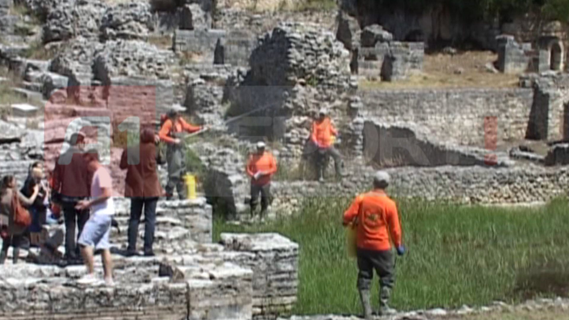 dezinsektimi butrint