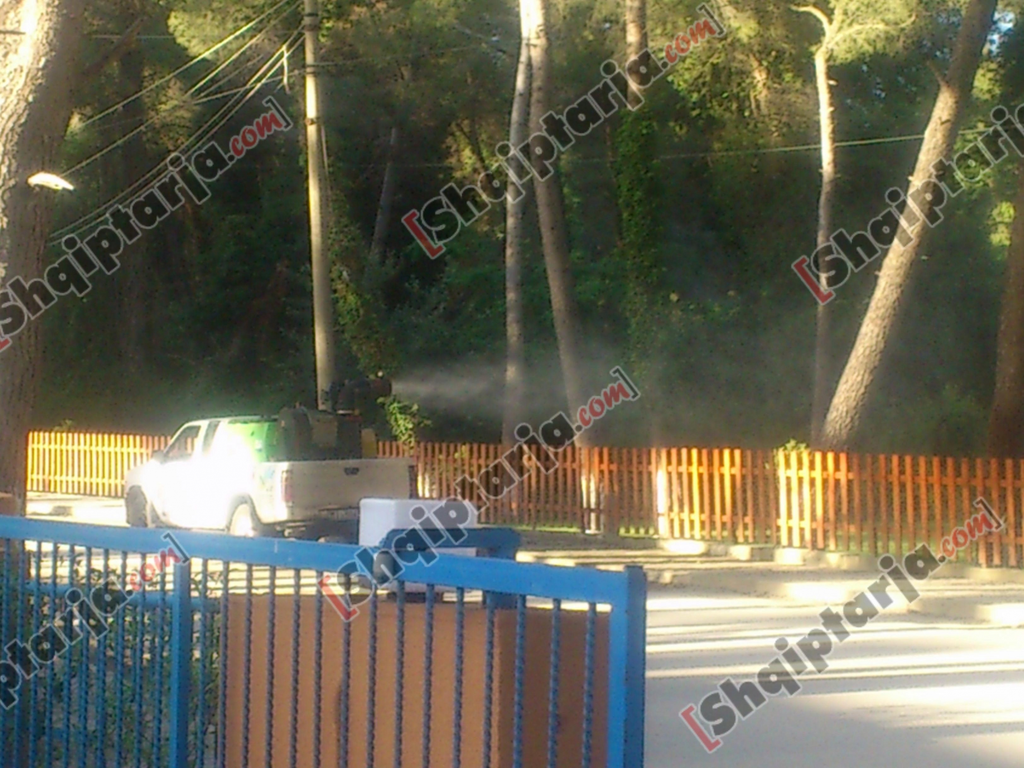 sperkatja e mishkonjave