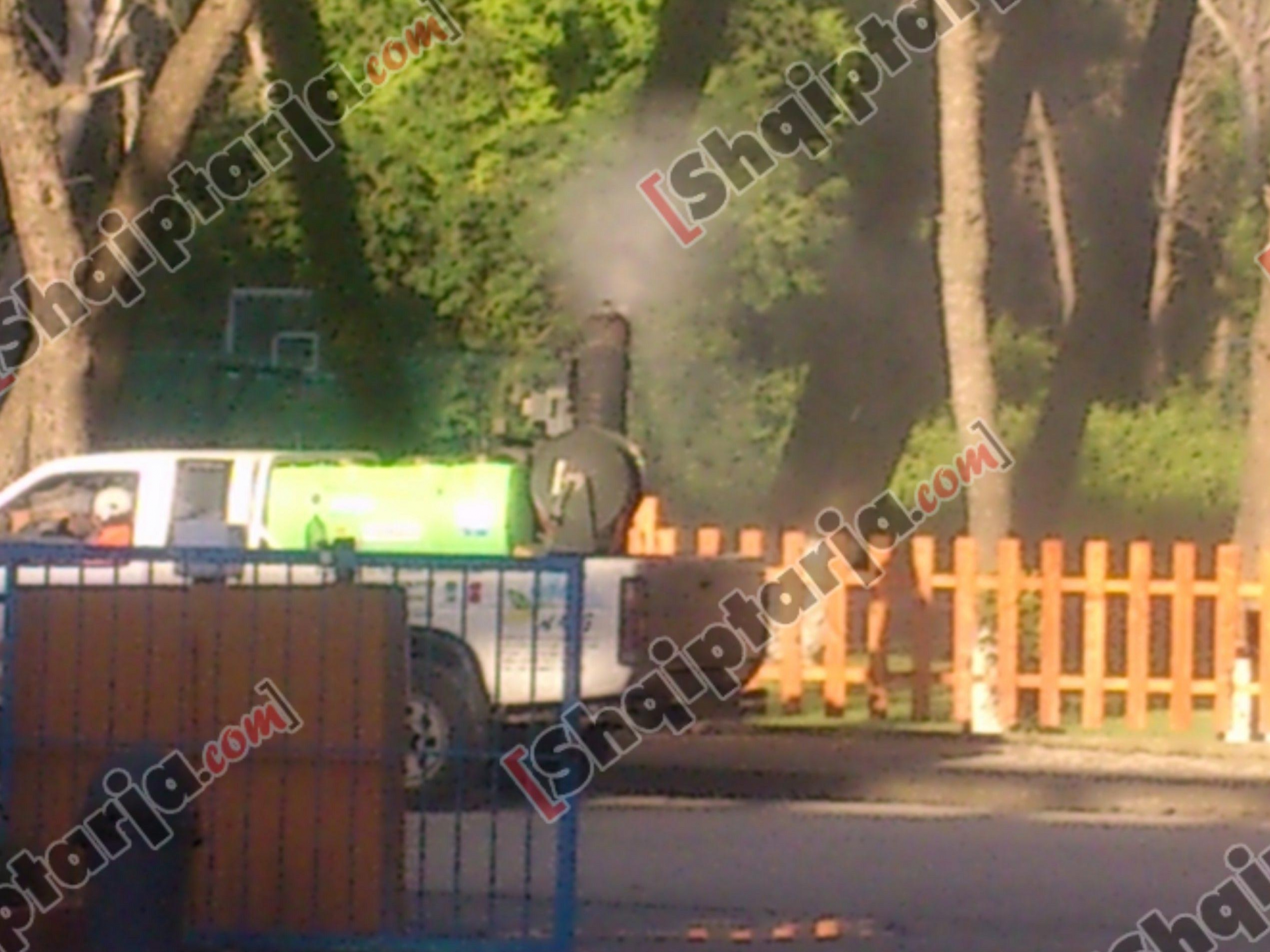 sperkatja e mishkonjave