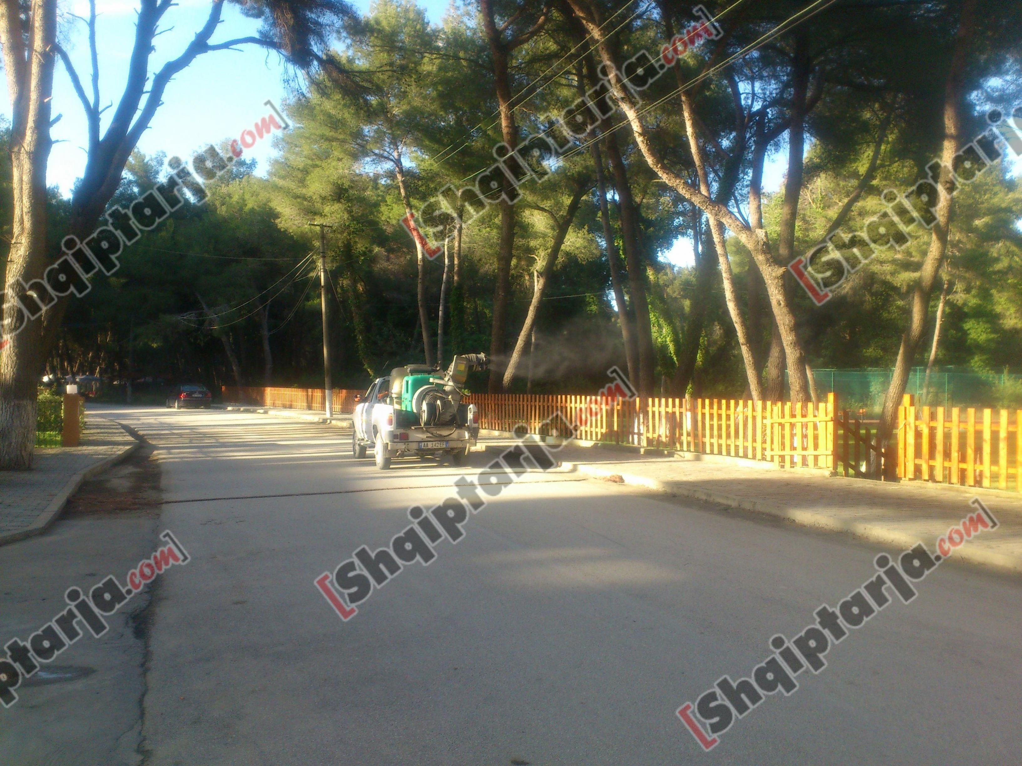 sperkatja e mishkonjave