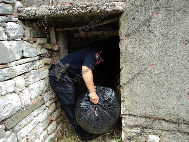 marijuanë në bodrum