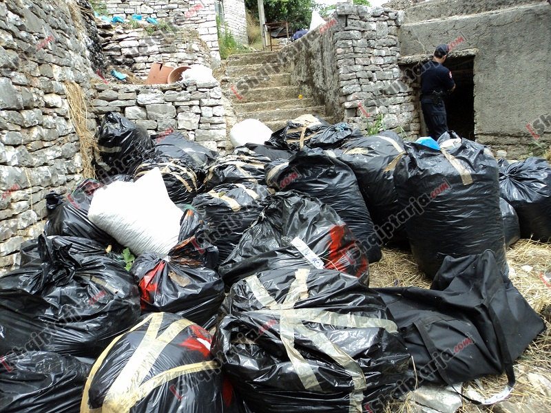 marijuanë në bodrum