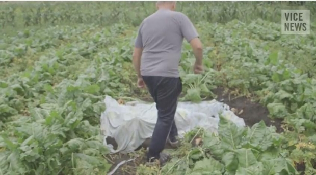 avioni malajzian viktima ne toke 