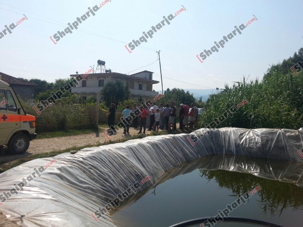 vrasja fier  me logo