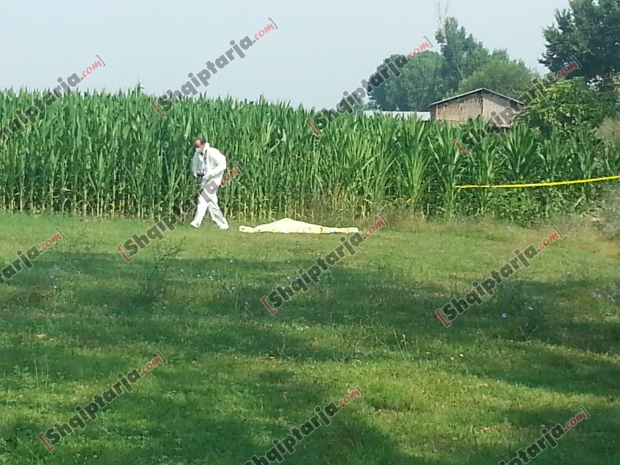 vrasja fier  me logo