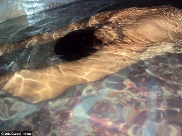 pishine brenda dhomes