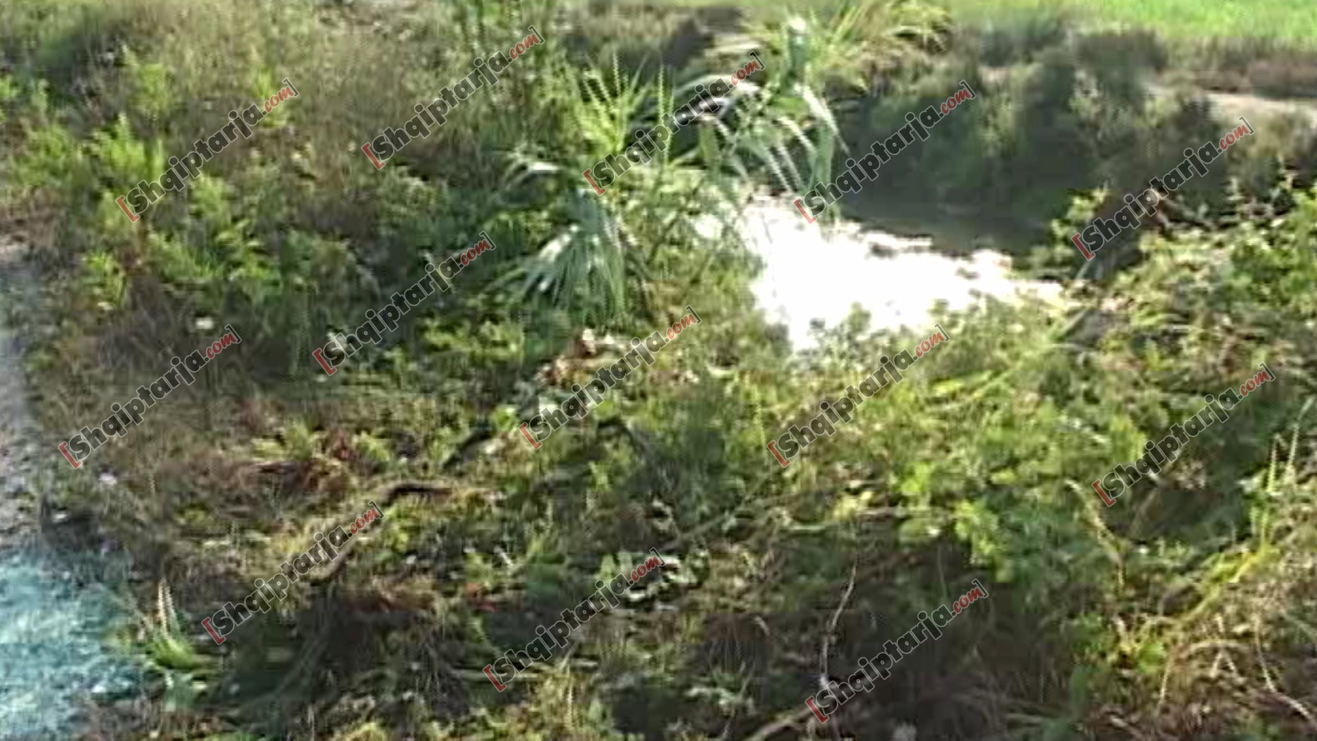 vendi ku ndodhi aksidenti