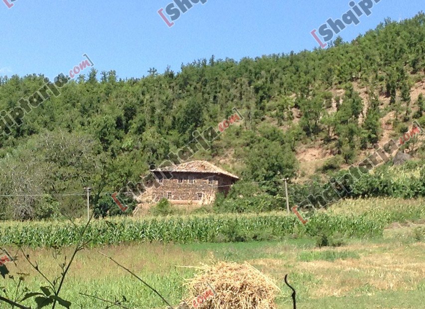 banesa e balliu me logo