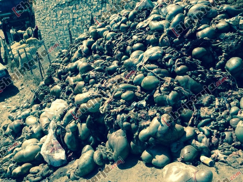 pelegrinazhi bagetite