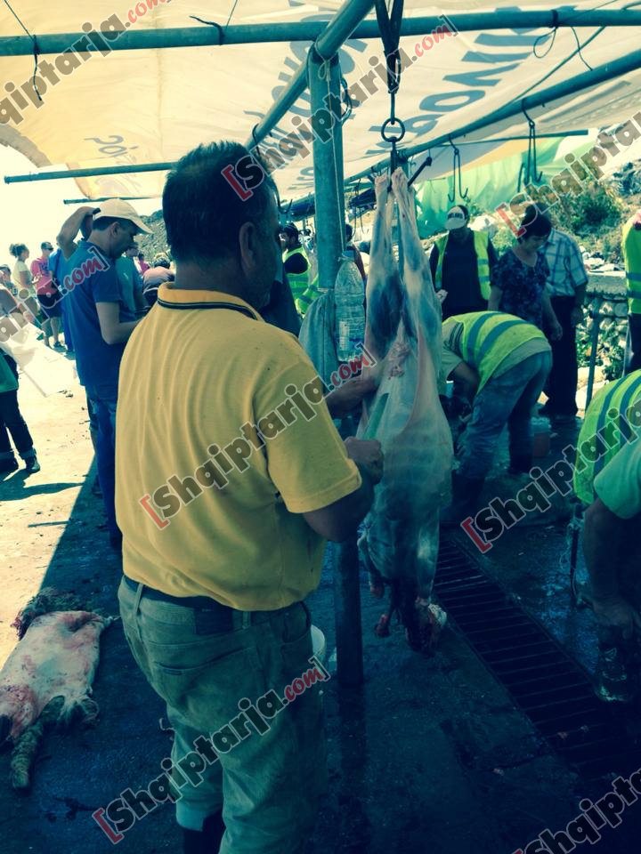 pelegrinazhi bagetite