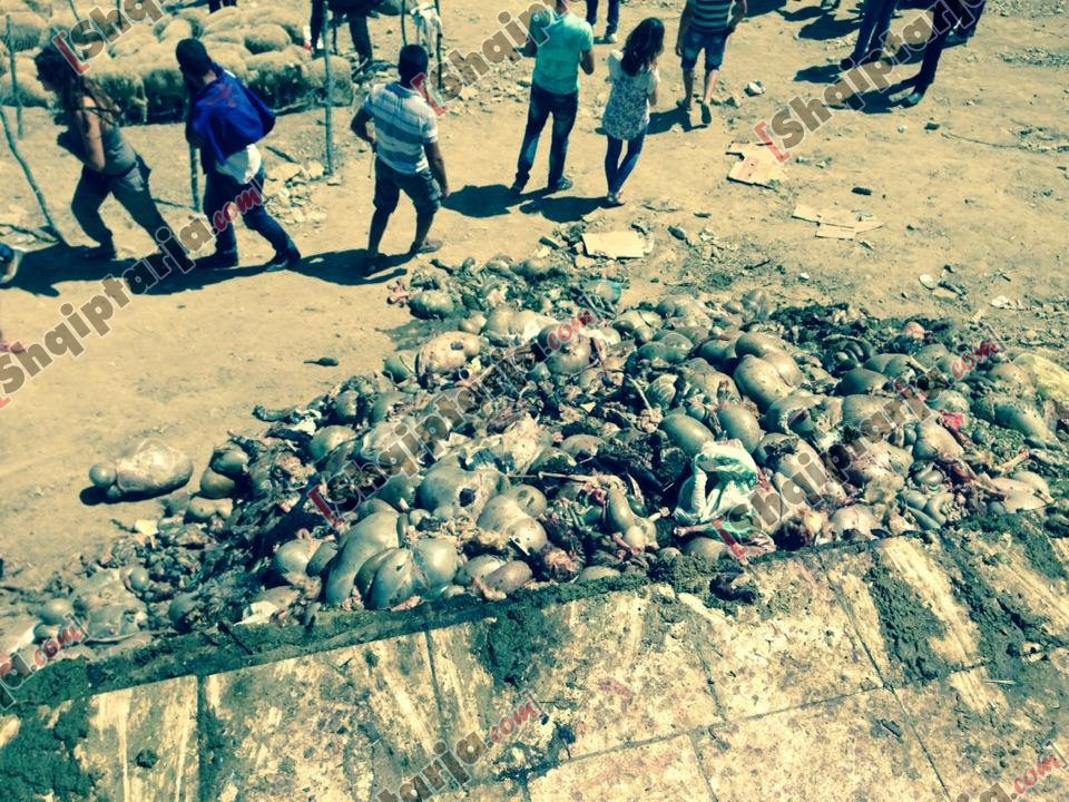 pelegrinazhi bagetite