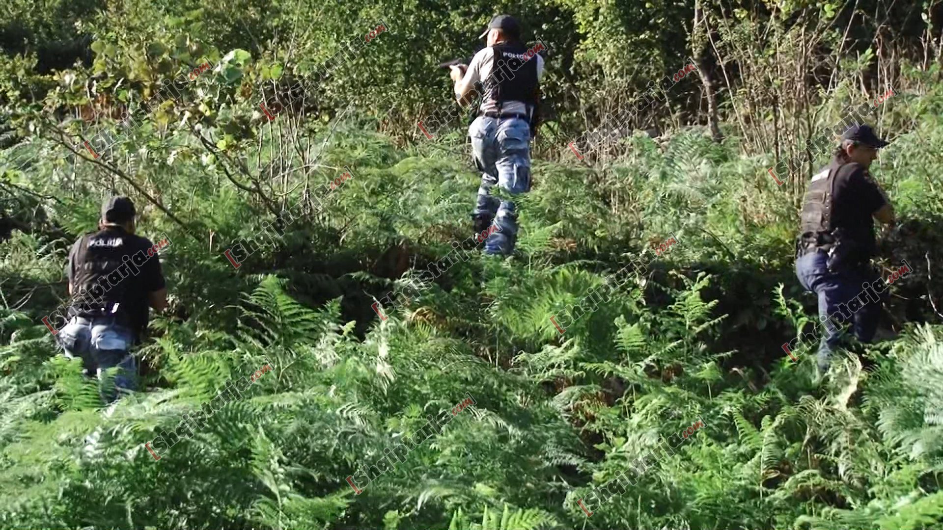 dukagjin aksion me logo