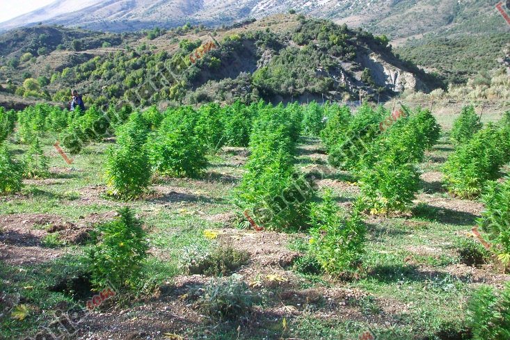 droga ne tepelene me logo