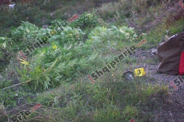 droga ne tepelene me logo