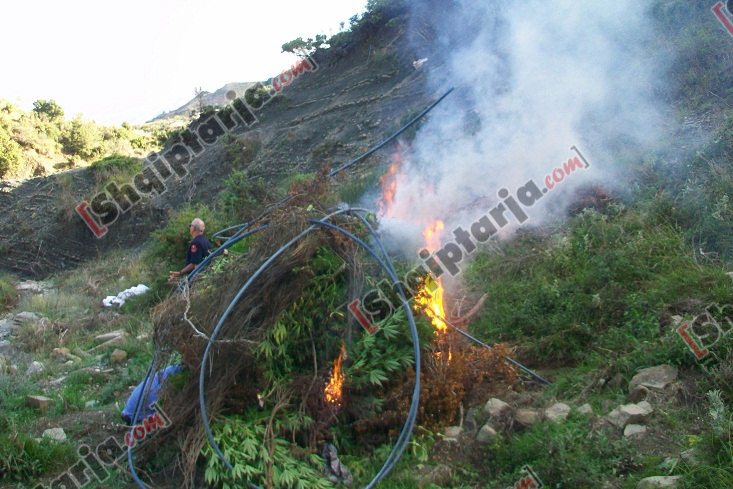 droga ne tepelene me logo