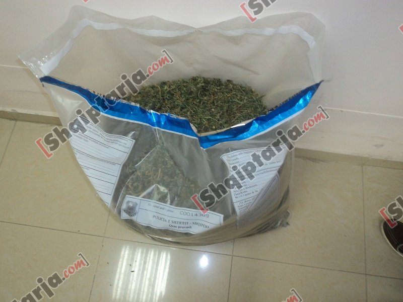 droga ne gjirokaster me logo