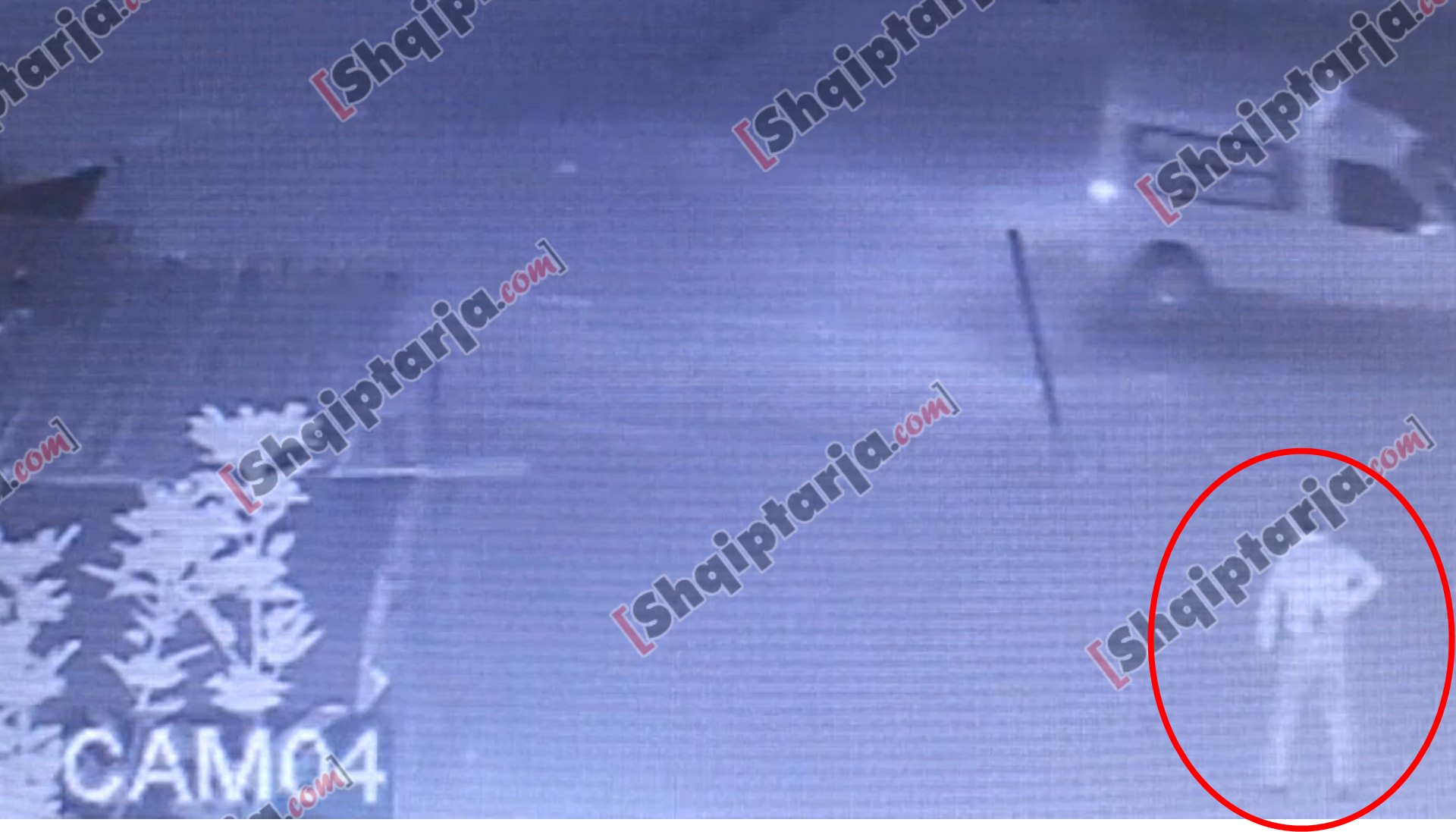 Momenti i plagosjes në Tiranë