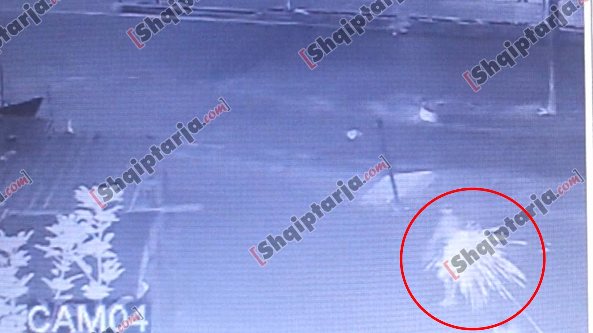 Momenti i plagosjes në Tiranë