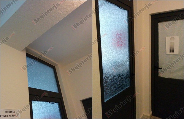 shoqata Jetimët në Fokus