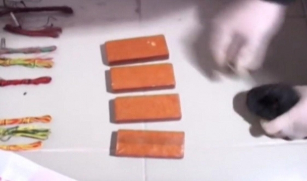 tritoli julian sinanaj