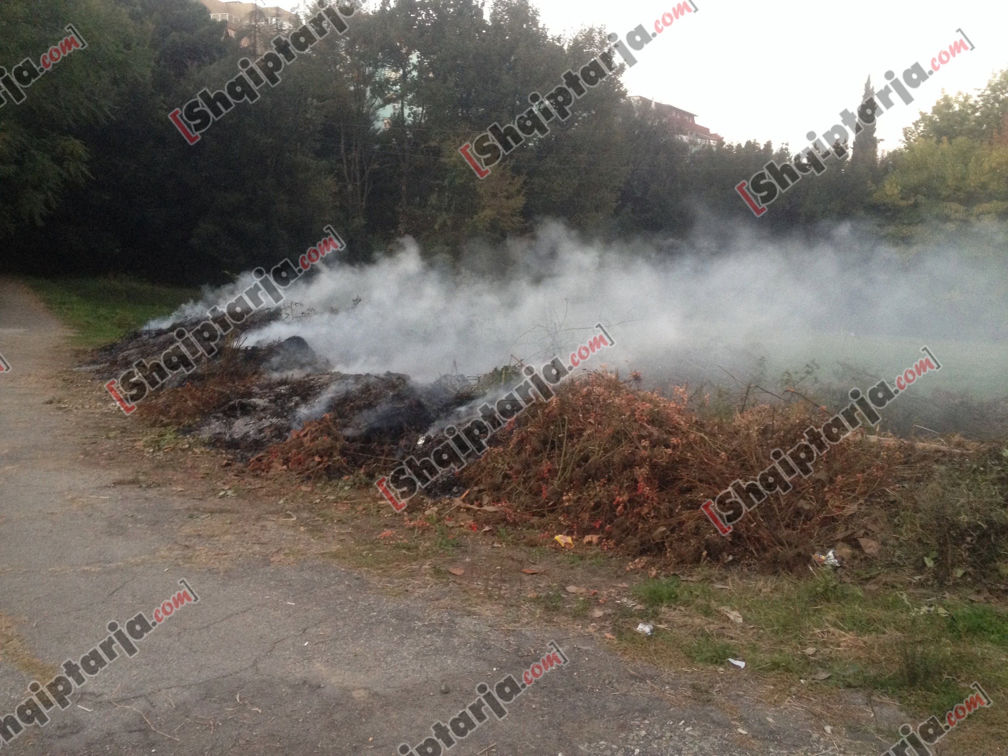 komuna e parisit me logo