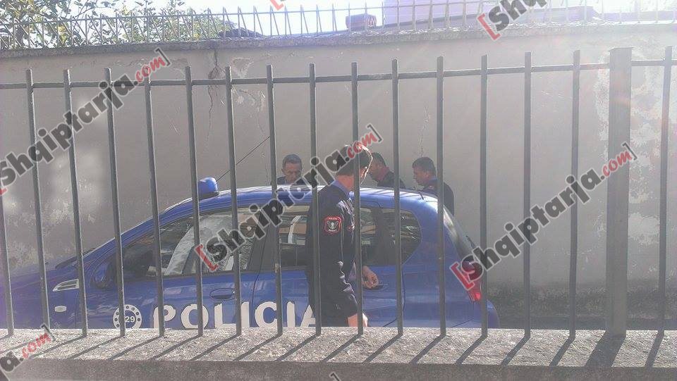 te arratisurit peqin