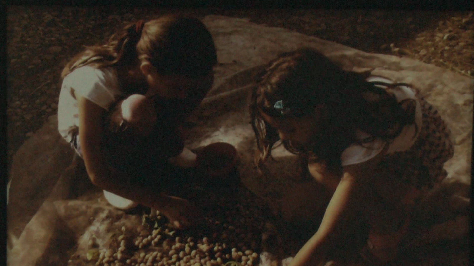 ekspozita e fotogazetarise 